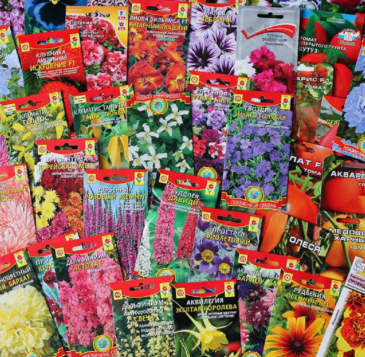 Рассада цветов каталог